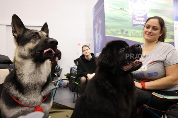 Приметы на 27 января: что можно и чего нельзя делать в этот&nbsp;день