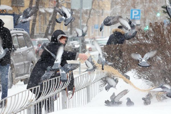 Снегопад в Нижнем Новгороде продлится до утра понедельника