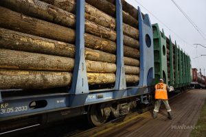 Отрасль переживает трудности: как поддержат деревообработчиков