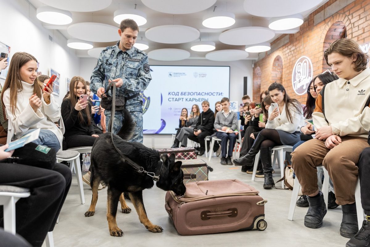 В Нижегородской области прошел фестиваль профессий «Код безопасности: старт карьеры» 