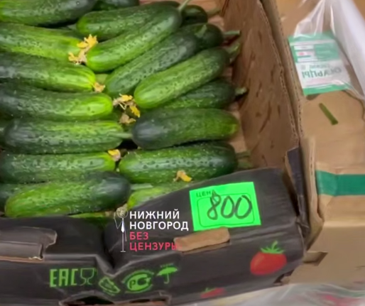Нижегородцев шокировали цены на огурцы до 850 рублей за килограмм