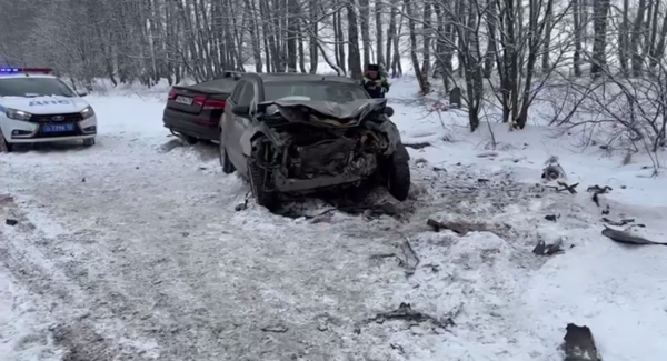 Четыре человека пострадали в аварии на трассе в Богородском округе
