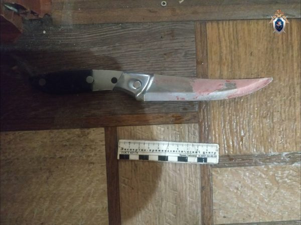 В Нижнем Новгороде сын во время ссоры попытался убить отца, ударив ножом по&nbsp;шее