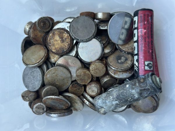 Врач Белозеров рассказал нижегородцам об опасности попадания батареек в организм