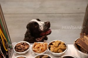 Приметы на 12 сентября: что можно и чего нельзя делать в этот&nbsp;день