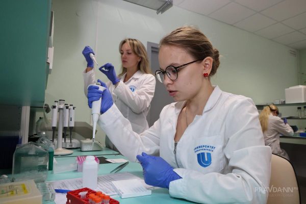 Нижегородские вузы могут получить поддержку Минобра России