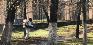 Противоклещевая обработка нижегородских парков начнется 31&nbsp;марта