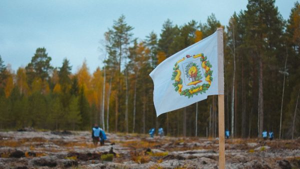 В Нижегородской области стартует шестой сезон акции «Сад памяти»