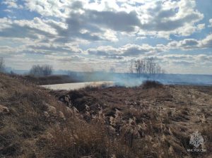 Два случая пала травы произошли в Кстовском районе Нижегородской области
