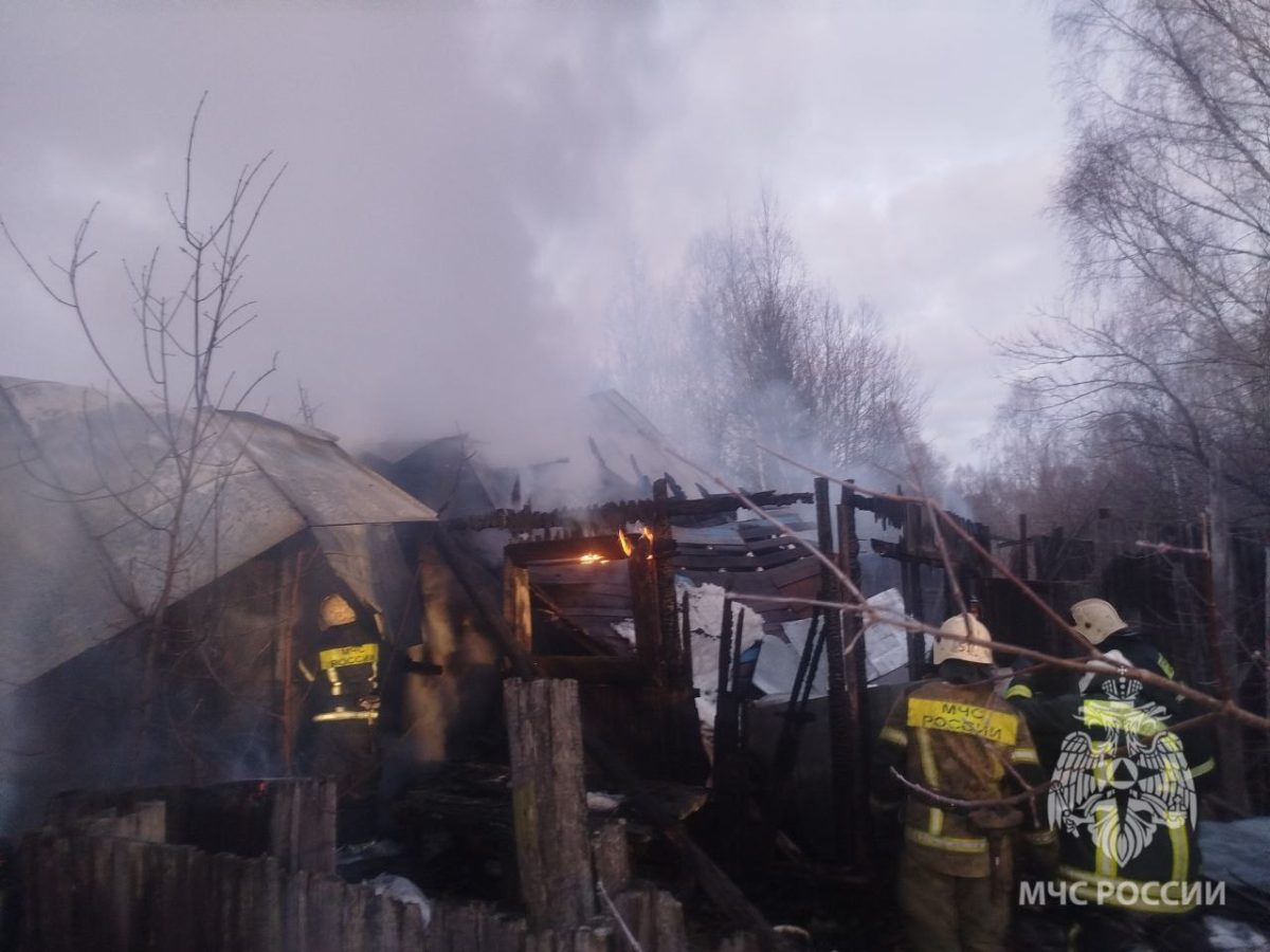 Нижегородец погиб на пожаре в поселке Приречный Борского района