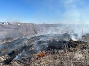 В Нижегородской области резко выросло число природных пожаров