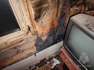 64-летний мужчина погиб на пожаре в Лукоянове