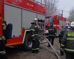Нижегородку и двух собак спасли на пожаре в Нижнем Новгороде