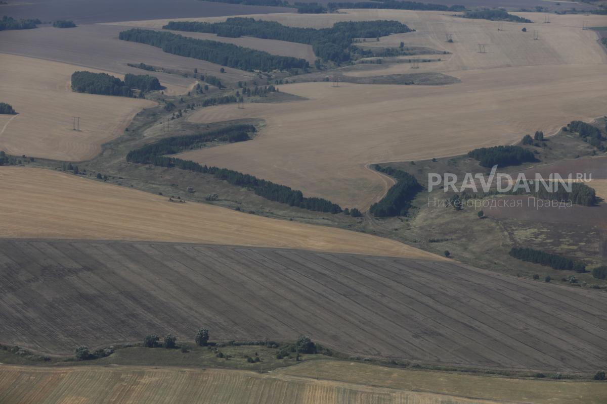 Шесть скотомогильников будут ликвидированы в Нижегородской области
