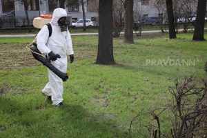 Обработка парков и скверов Нижегородской области от клещей начнется в апреле