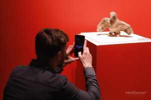 Опубликованы фото с выставки «Красная книга» в художественном музее