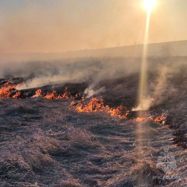 106 протоколов за поджоги травы составлено в Нижегородской области