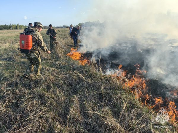 Учения по ликвидации природных пожаров прошли в Вознесенском округе