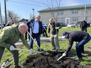 В Харцызске в сквере «Нижегородский» высадили аллею в честь 80-летия Победы