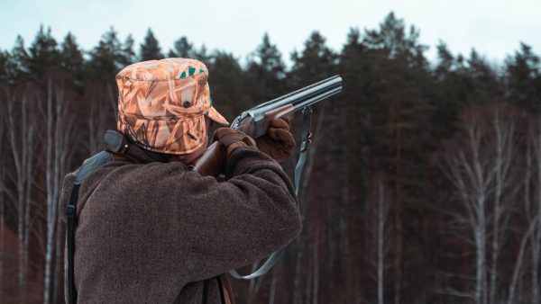 На юге Нижегородской области открывается охота на селезня