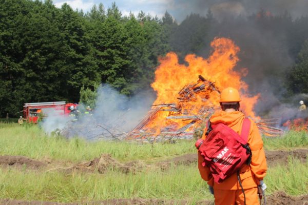 Минлесхоз предупреждает о повышенной угрозе возникновения лесных пожаров