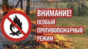 На территории Нижегородской области установлен особый противопожарный режим