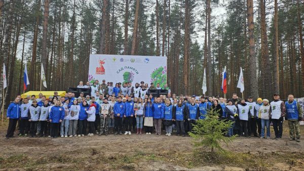 23 тысячи сосен в рамках акции «Сад памяти» высадили в Нижнем Новгороде