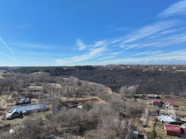 В Кстовском округе ликвидировали возгорание сухой травы площадью 50 га