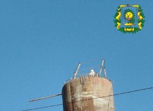 У нижегородского аиста, пережившего зиму, появилась компания