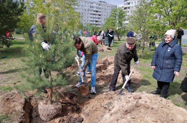 Юрий Шалабаев вместе с нижегородцами высадили 80 деревьев к 80-летию победы