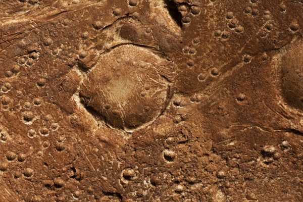 Смотри: летит метеорит! Как наблюдать за небесными телами и где искать их следы в Нижегородской области