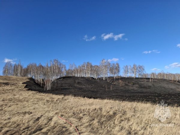 Сухая трава загорелась в Кстовском округе