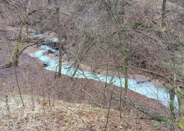 Река Рахма в Кстовском округе снова побелела и пахнет хлоркой