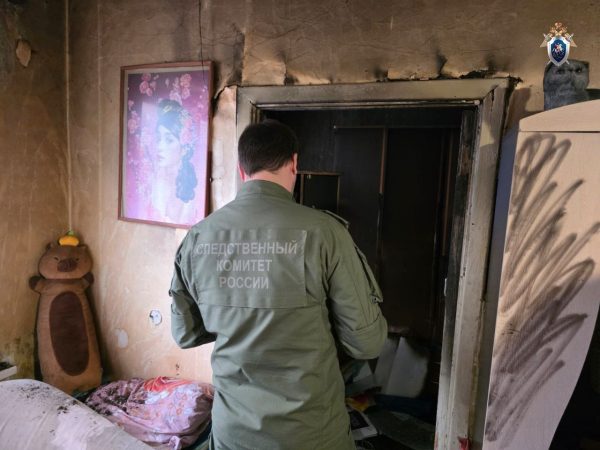 В Сарове женщина убила ножом мать, подожгла квартиру и задохнулась угарным газом