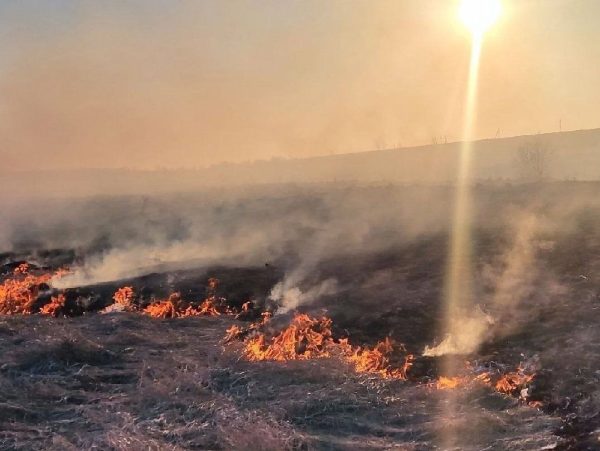 Поджигателей травы в Нижегородской области оштрафовали на 200 тысяч рублей