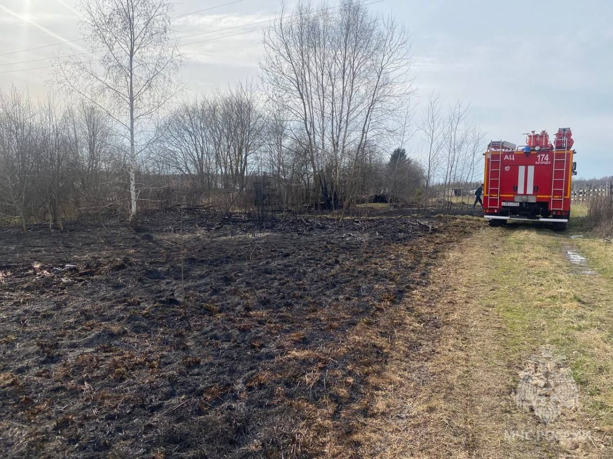 Пенсионер погиб во время сжигания сухой травы в Богородском округе