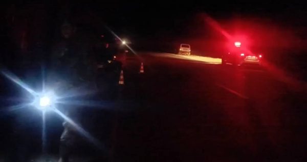 Водитель отечественной легковушки сбил лося в Нижегородской области