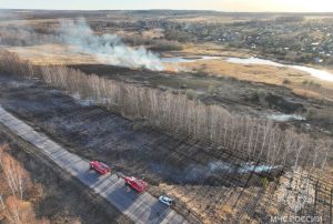 В Кстовском округе ликвидирован природный пожар у деревни Михальчиково