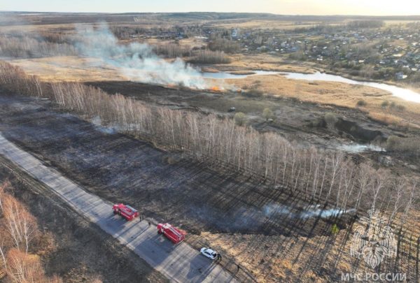 В Кстовском округе ликвидирован природный пожар у деревни Михальчиково