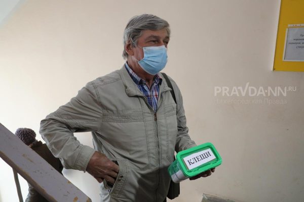 Почти 200 нижегородцев стали жертвами нападения клещей