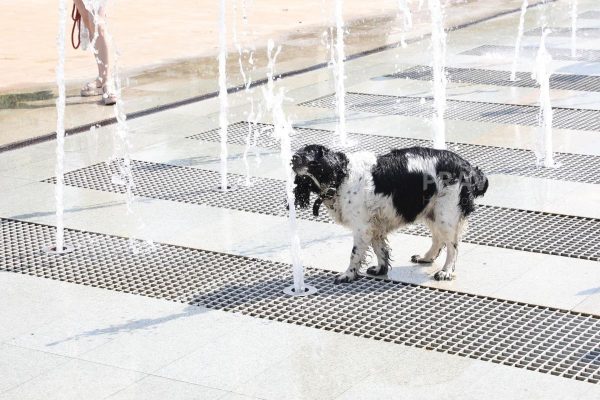 Температурные качели: аномальная жара сменится заморозками в Нижнем Новгороде