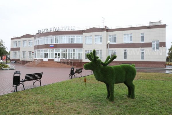 Названы опасные нижегородские трассы с наибольшим числом ДТП с лосями