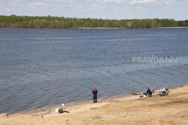 Рыболовные ограничения введут на Горьковском водохранилище с 15 апреля