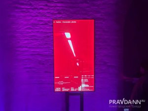 Майя Симакина