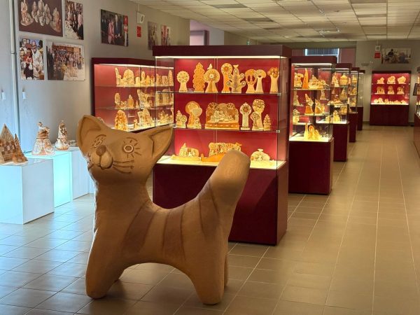 В Дивееве открылся краеведческий музей