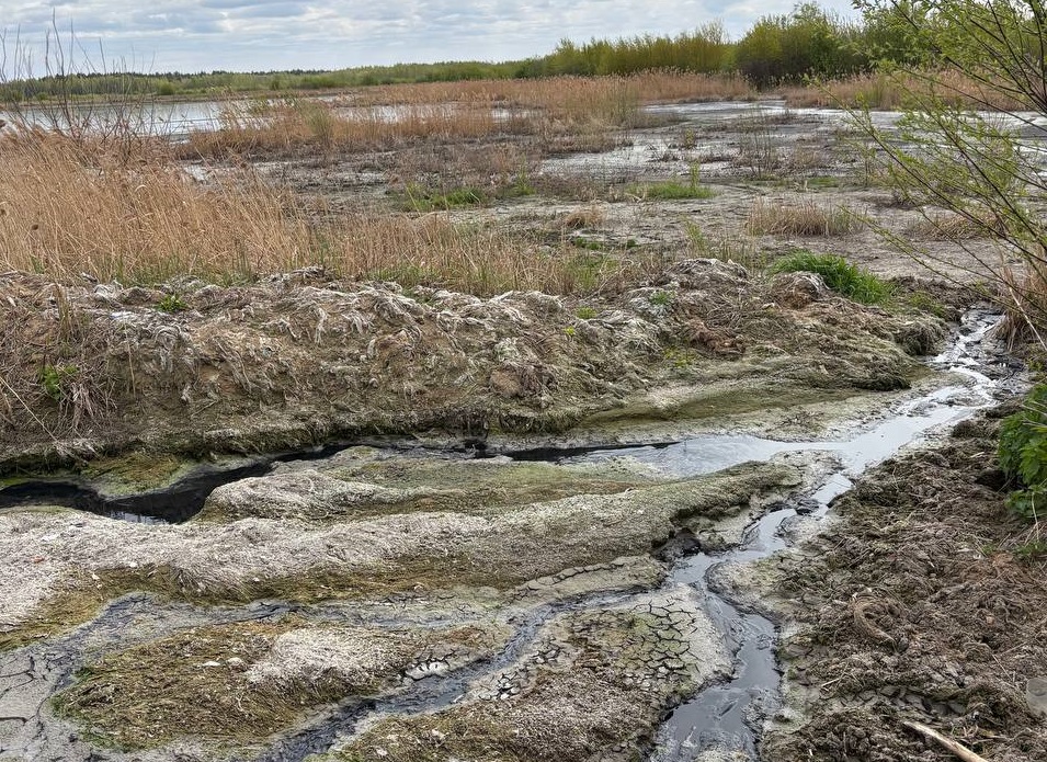 Росприроднадзор проводит проверку Дзержинского водоканала из-за жалоб