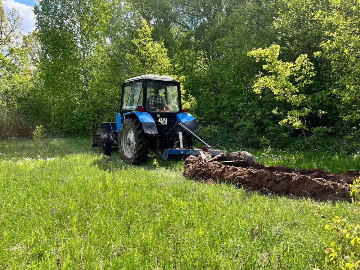 В Нижегородской области очистят более 3 800 га от сухостоя