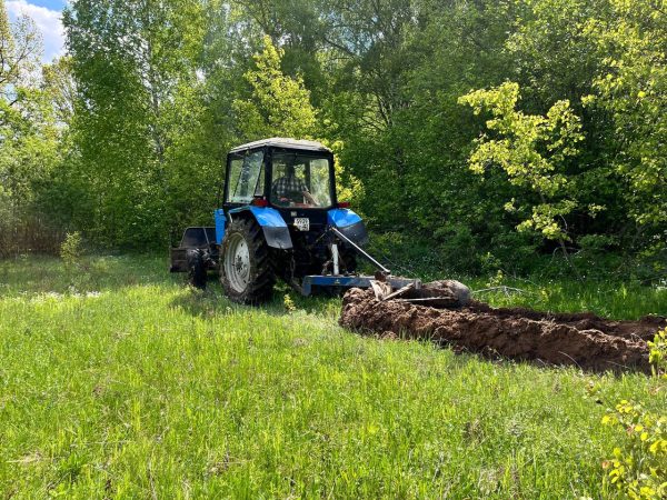В Нижегородской области очистят более 3 800 га от сухостоя