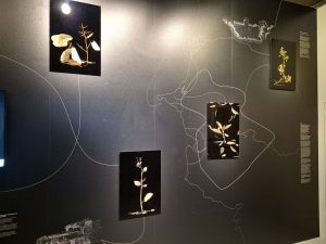 Анна Акилова