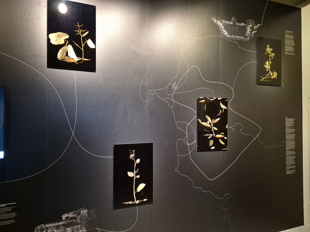 Анна Акилова